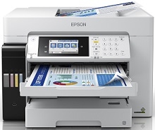 Epson EcoTank L15160 Driver